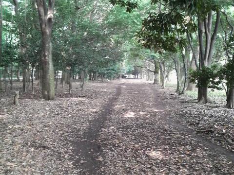 光が丘公園