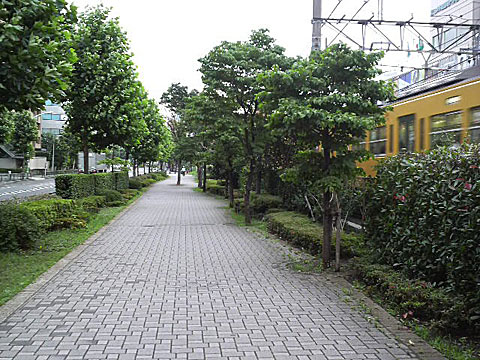朝の様子
